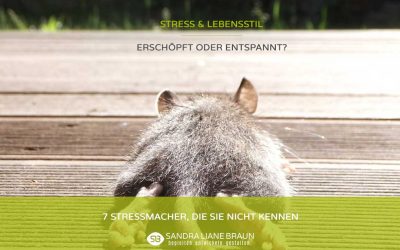 7 Stressmacher, die Sie nicht kennen!