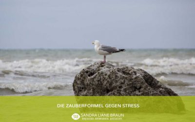 Die Zauberformel gegen Stress!