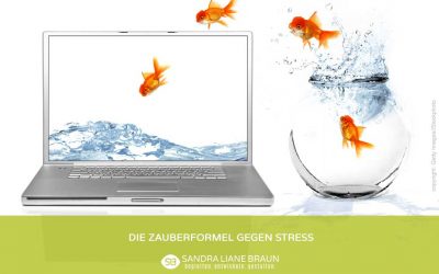 Stressfaktor Digitalisierung: 19 Fragen zur Selbstreflektion