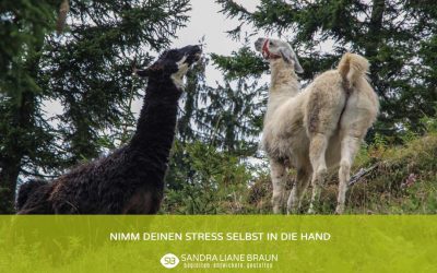 Nimm Deinen Stress selbst in die Hand