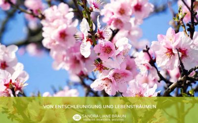 Von Entschleunigung und Lebensträumen